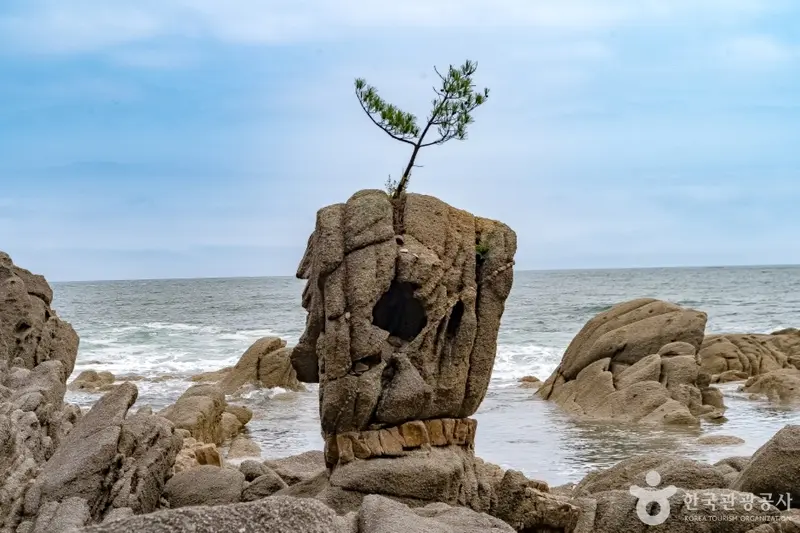 松地湖海岸 城隍岩（江原平和地域国家地質公園）