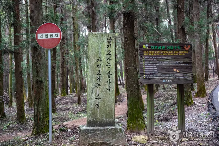 凤鸣山市立公园