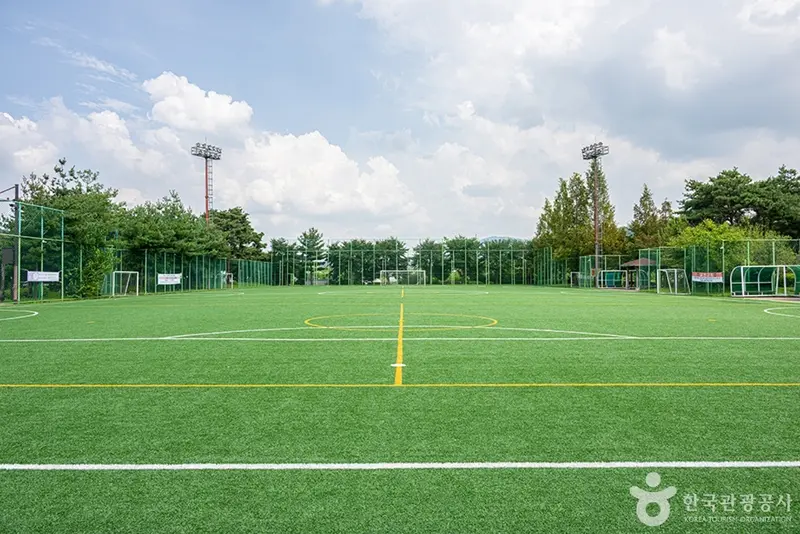 新元體育公園