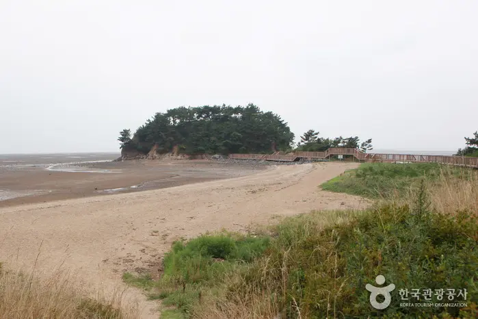 洪城束洞滩涂村