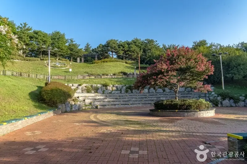江陵 南山 公園
