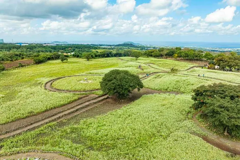 Wahul Buckwheat Village