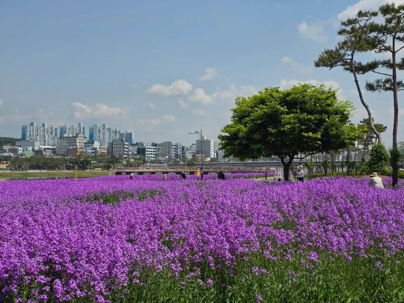 永川生態地球公園
