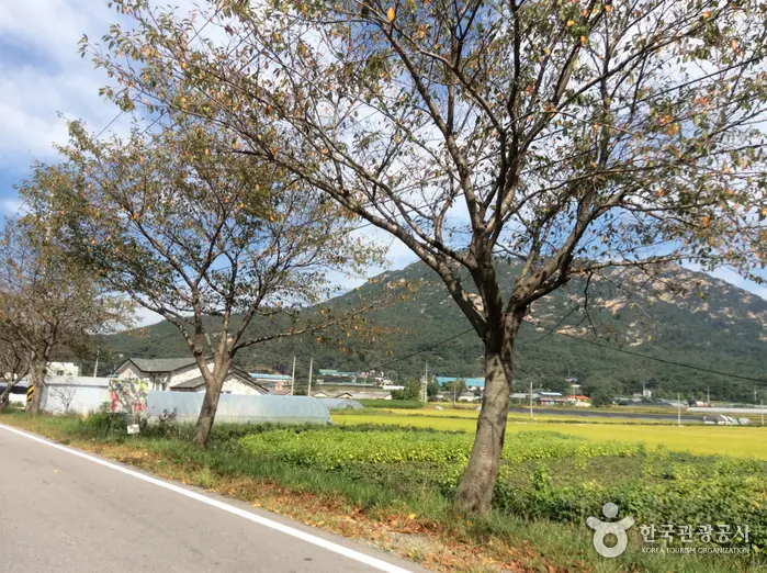 龙峰山体验 资讯化村