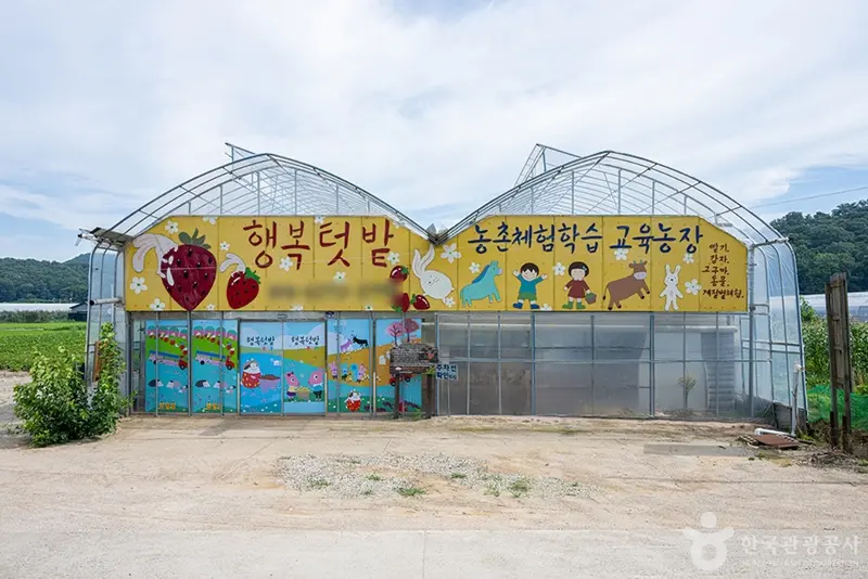 Happiness Garden