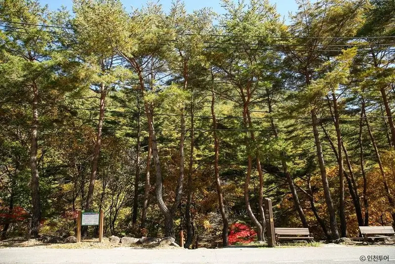Gariwoongsan National Forest Recreation Area