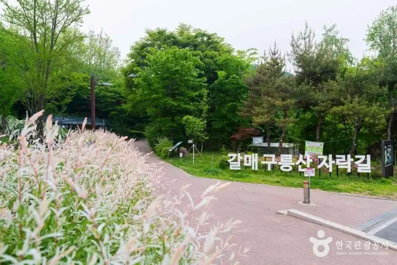 葛梅丘陵山麓步道