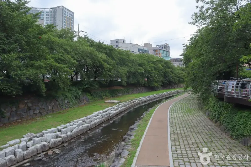 无涯川 樱花路