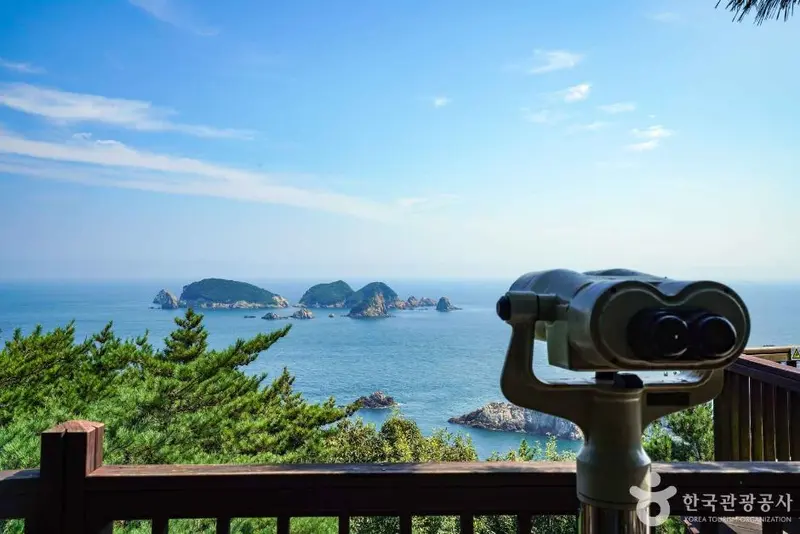 Yeochahongpo Coastal Road Observatory