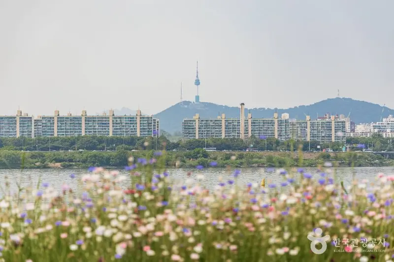 반포 서래섬