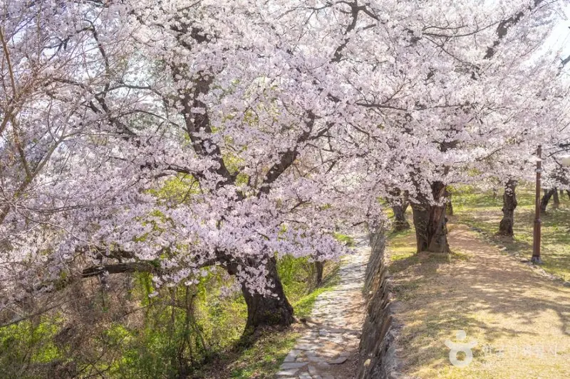 泗川先进里城