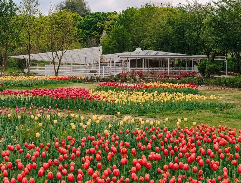 Pinnacle Land Arboretum