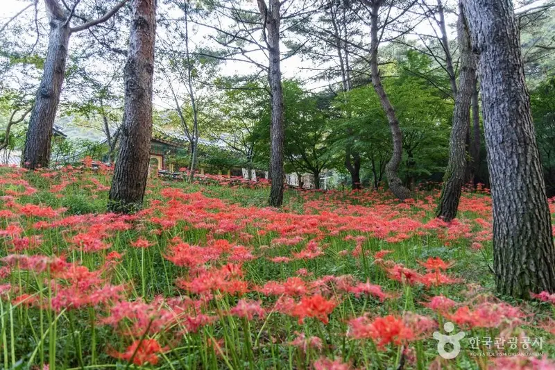 수덕사(예산)