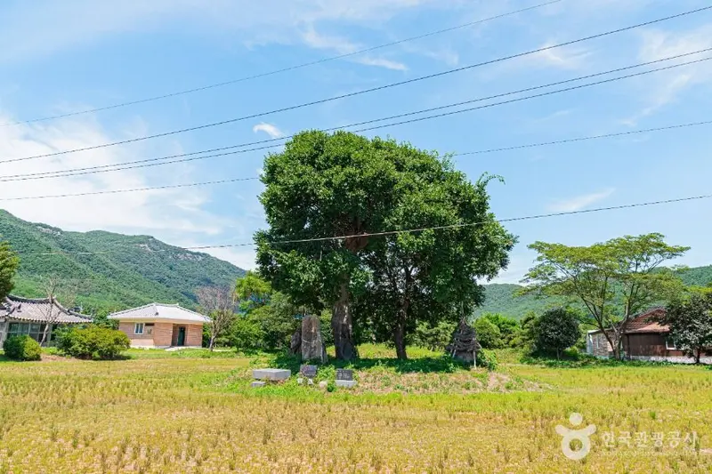 우동리당산