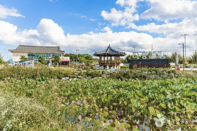 Dasong Rainbow Plum Blossom Village