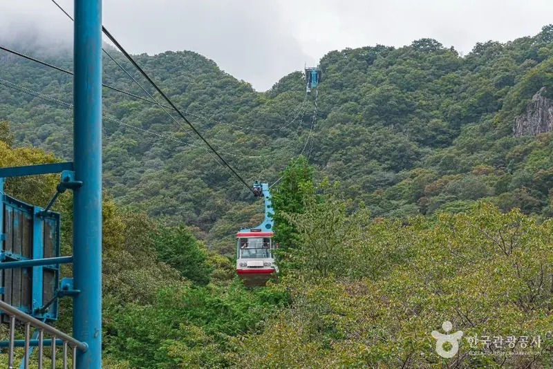 井邑内藏山观光特区