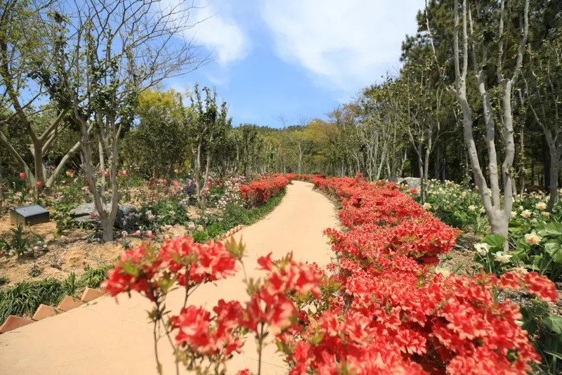 Cheonsa Island Bonsai Park