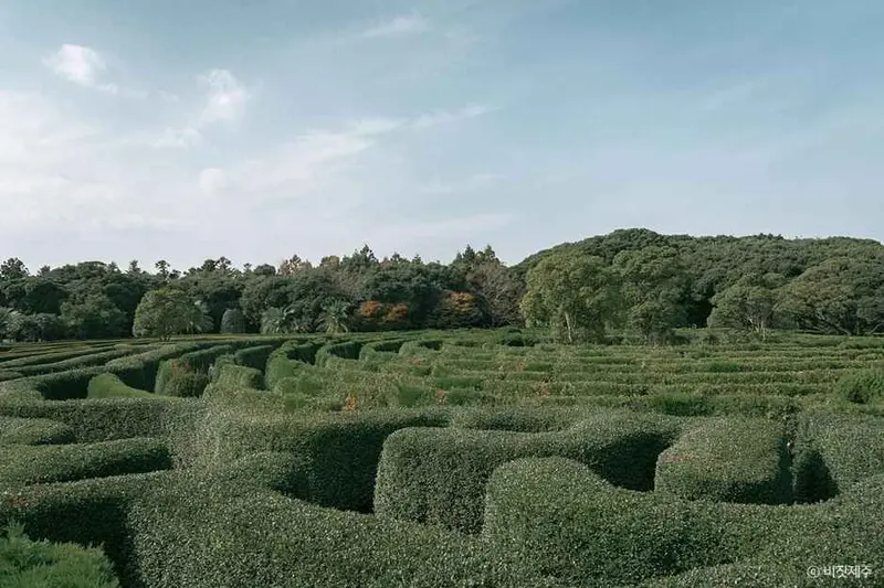 Maze Land