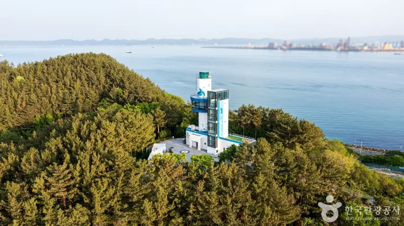 环湖公园