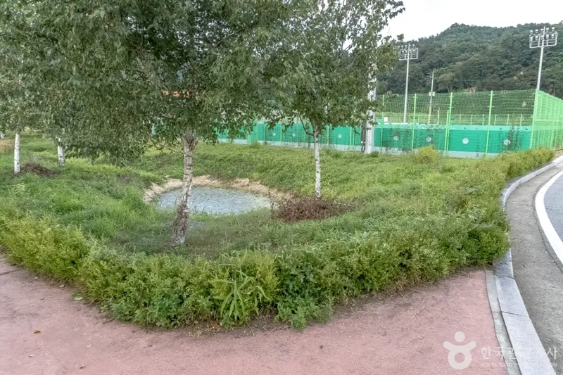 사내체육공원