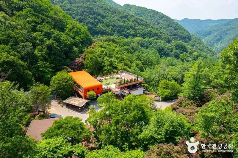 左邱山自然休養林