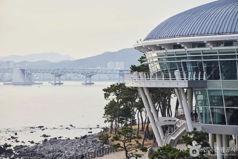 해운대 동백섬