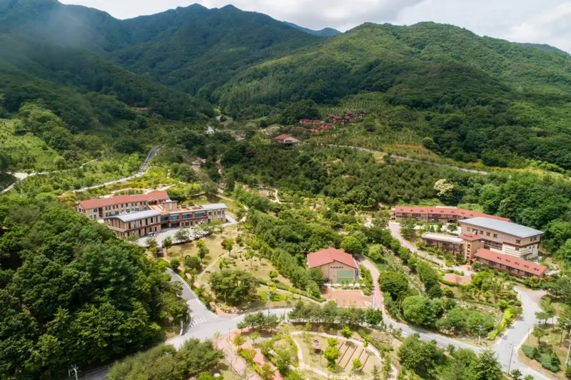 National Forest Healing Center