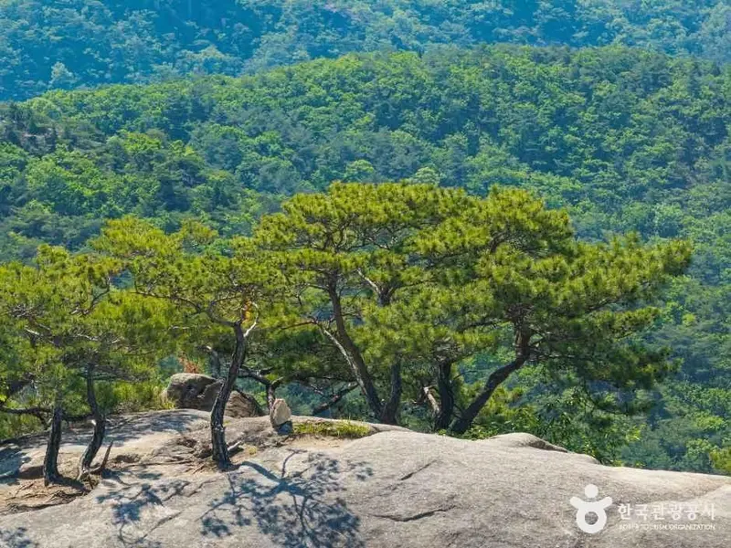 小東山