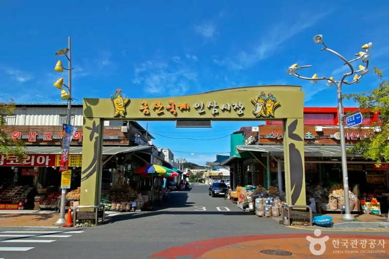 锦山人参药令市场