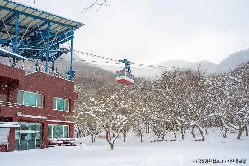 Naejangsan Cable Car