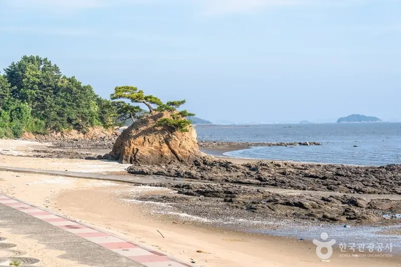 비인해변
