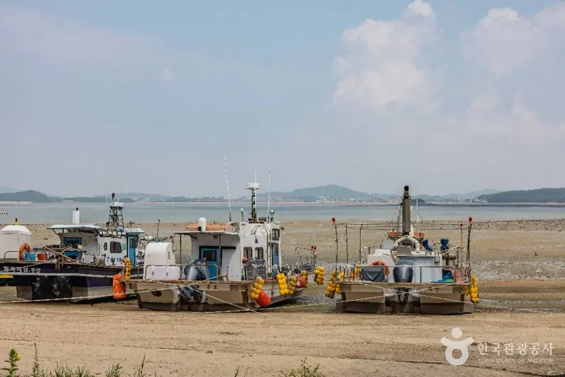 豁通游园地·豁通海边