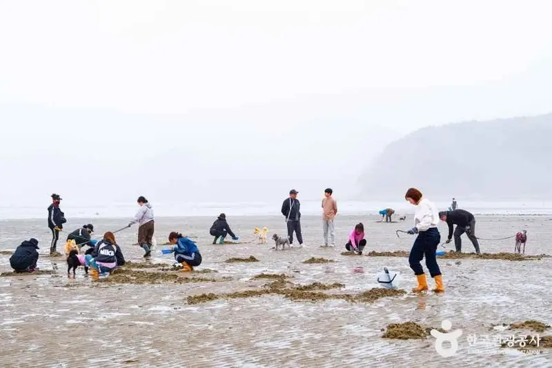 丙戌灣漁村體驗村
