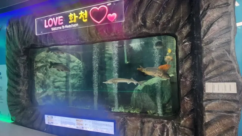 土俗鱼类生态体验馆