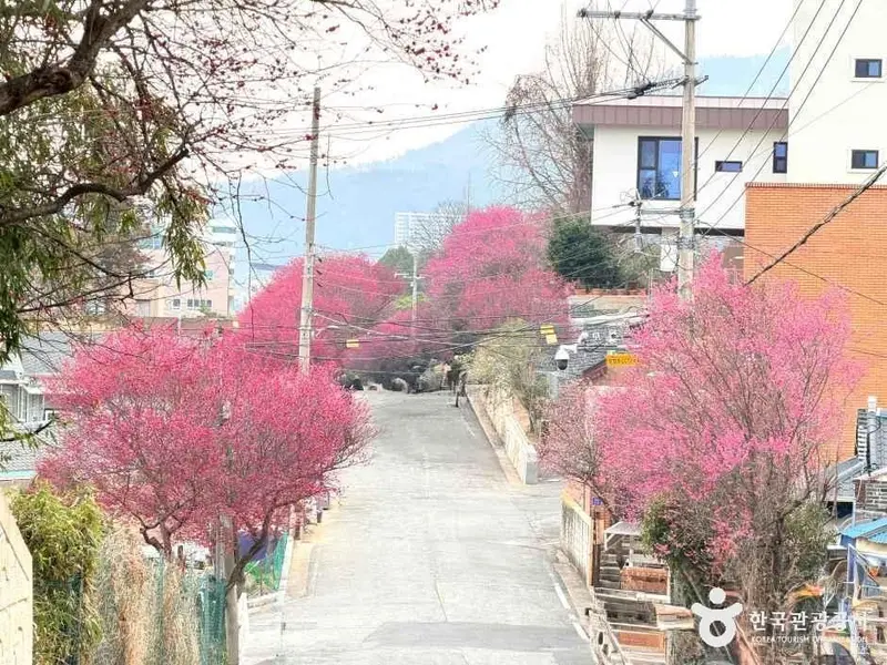Tammae Village