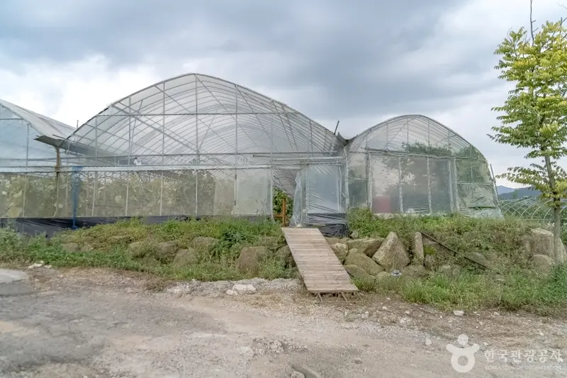 Neulpureun Experience Farm