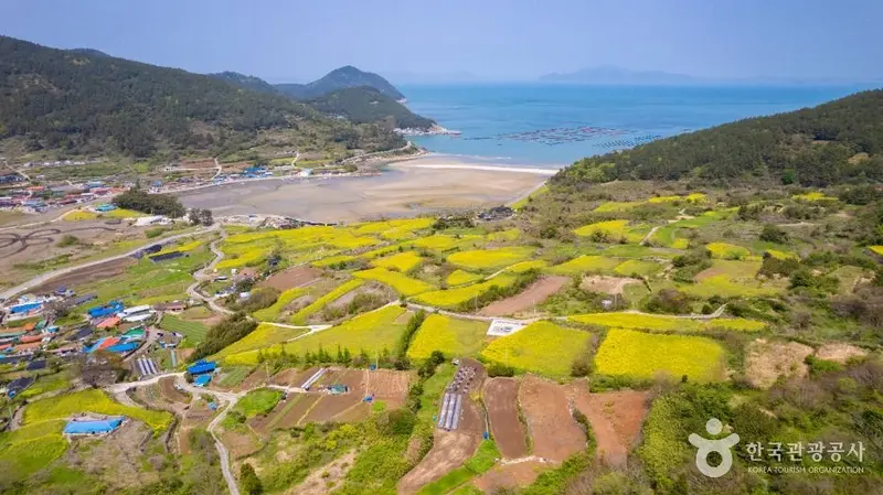 청산도