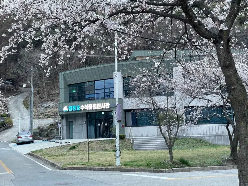 大韩民国花石文化院