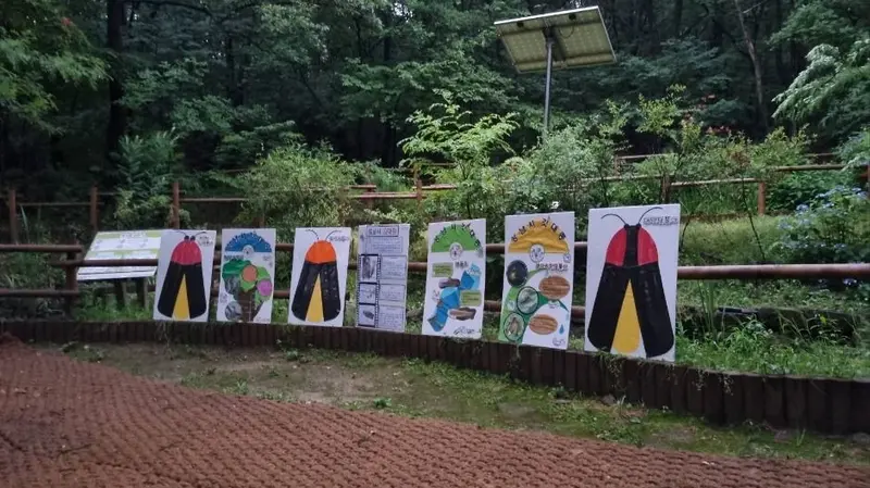 Maengsan Firefly Nature School