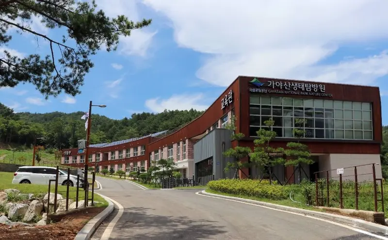 伽耶山生態探訪院