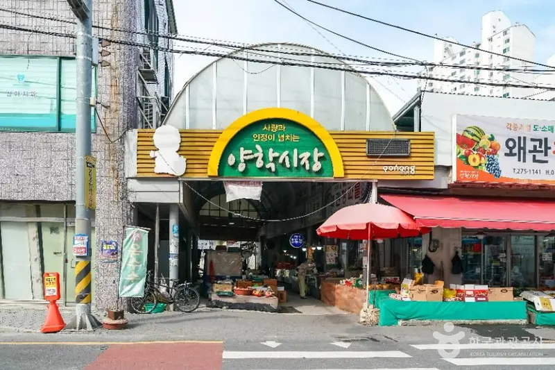 阳学市场