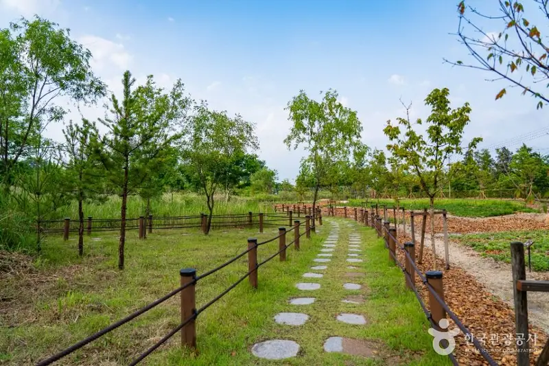 Yeongrangho Wetland Ecology Park