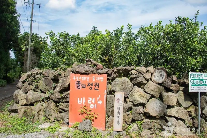 Gyul-ui Garden Baryeong