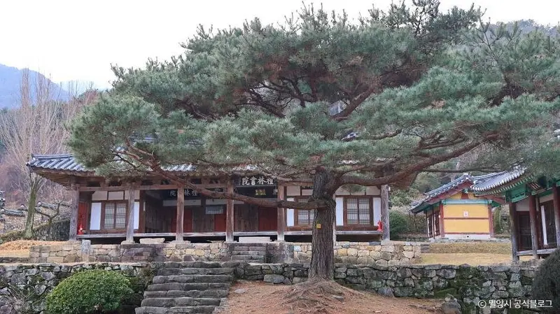 芮林书院