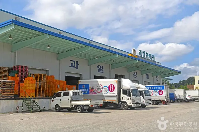 江陵 农产物 批发市场