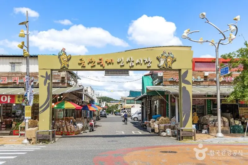 锦山国际人参市场