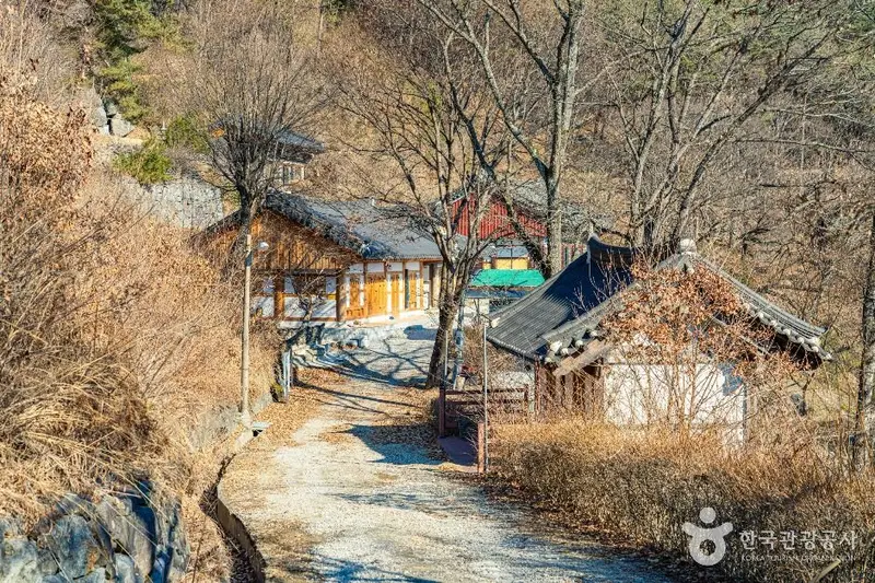 금대암