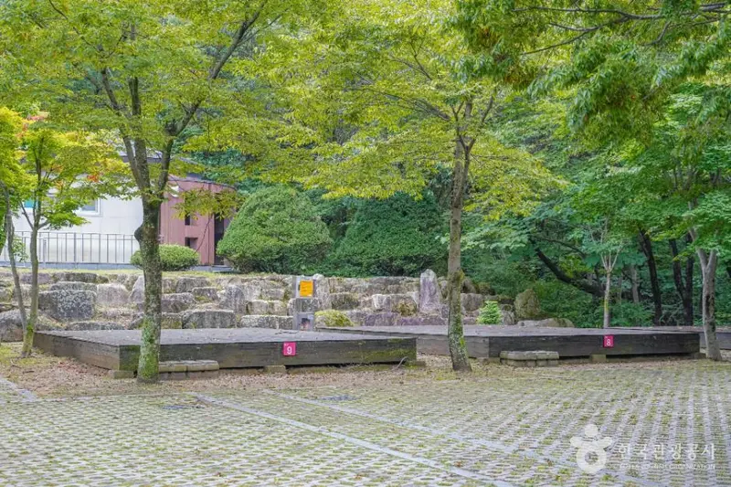 와룡자연휴양림