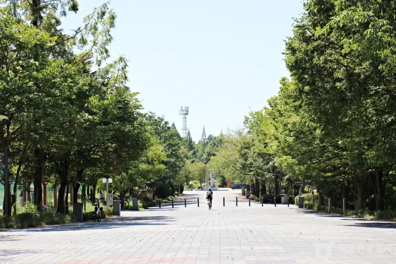 中央体育公园