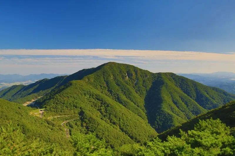 自掘山